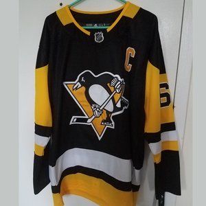 Mario Lemieux Pittsburgh Penguins hockey jersey